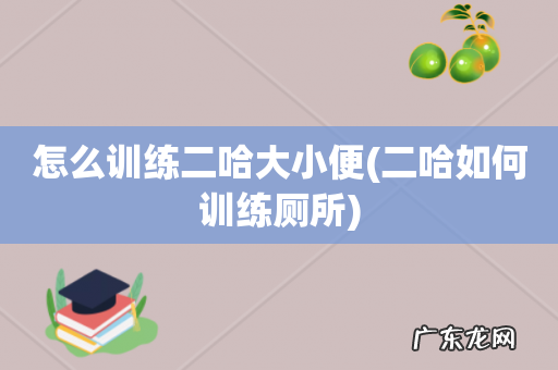 二哈如何训练厕所 怎么训练二哈大小便