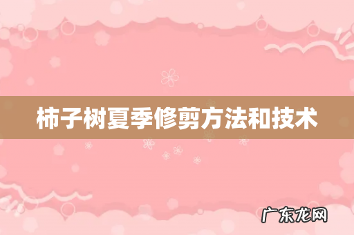 柿子树夏季修剪方法和技术