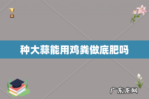 种大蒜能用鸡粪做底肥吗