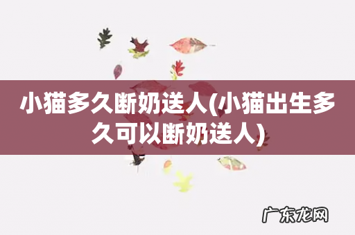 小猫出生多久可以断奶送人 小猫多久断奶送人