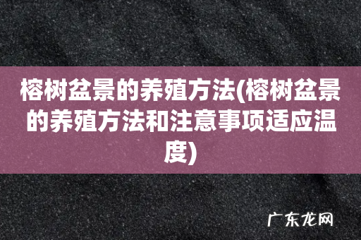 榕树盆景的养殖方法和注意事项适应温度 榕树盆景的养殖方法