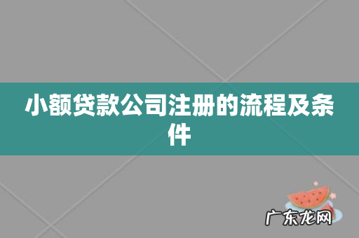 小额贷款公司注册的流程及条件