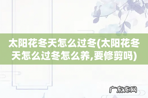 太阳花冬天怎么过冬怎么养,要修剪吗 太阳花冬天怎么过冬