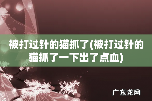 被打过针的猫抓了一下出了点血 被打过针的猫抓了