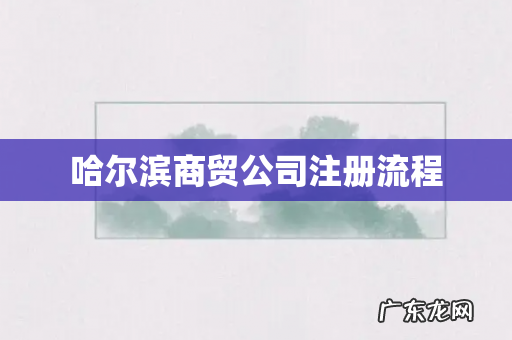 哈尔滨商贸公司注册流程