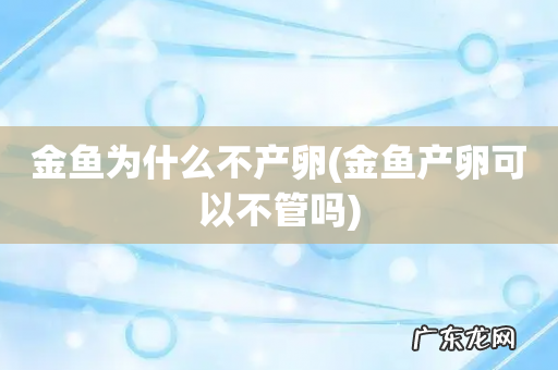 金鱼产卵可以不管吗 金鱼为什么不产卵