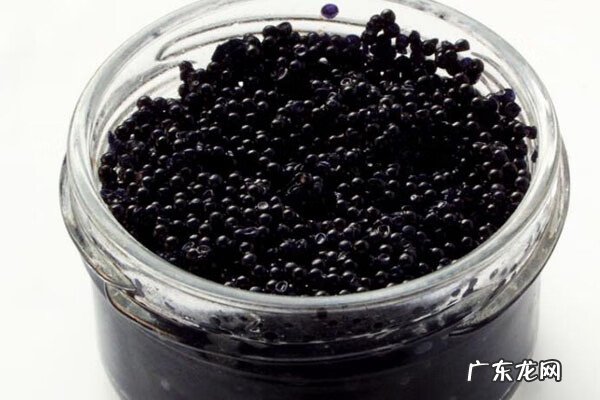 鲟鱼鱼子酱好吃吗 鲟鱼鱼子酱功效
