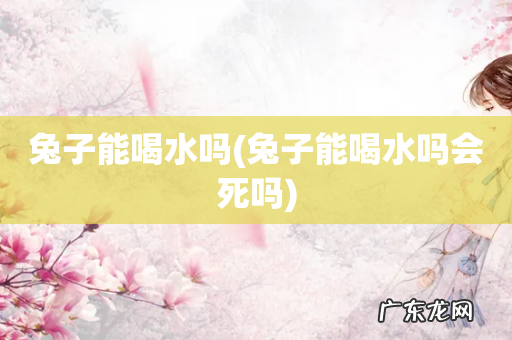 兔子能喝水吗会死吗 兔子能喝水吗