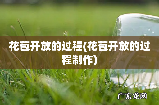 花苞开放的过程制作 花苞开放的过程