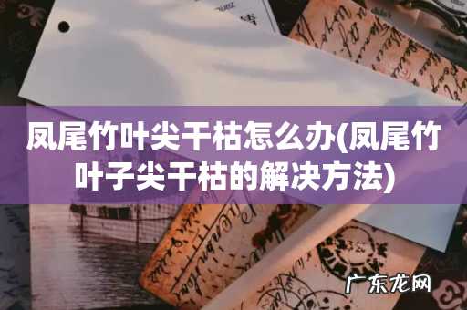 凤尾竹叶子尖干枯的解决方法 凤尾竹叶尖干枯怎么办