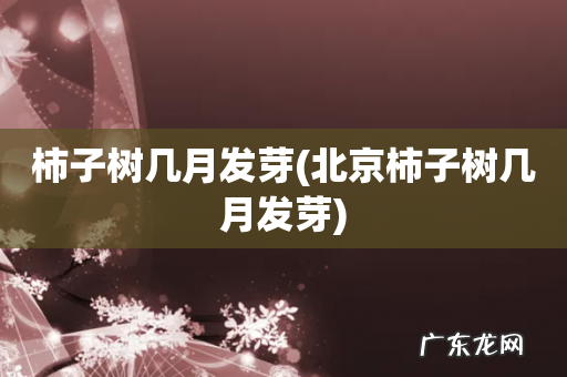 北京柿子树几月发芽 柿子树几月发芽