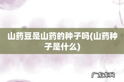 山药种子是什么 山药豆是山药的种子吗