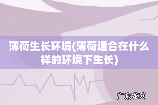 薄荷适合在什么样的环境下生长 薄荷生长环境