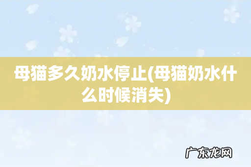母猫奶水什么时候消失 母猫多久奶水停止