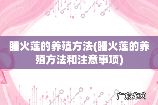 睡火莲的养殖方法和注意事项 睡火莲的养殖方法
