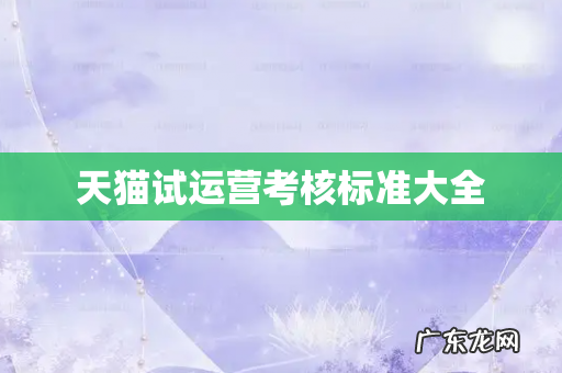 天猫试运营考核标准大全