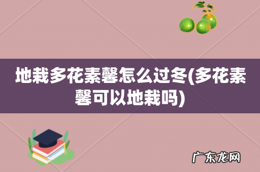 多花素馨可以地栽吗 地栽多花素馨怎么过冬