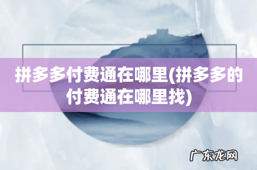 拼多多的付费通在哪里找 拼多多付费通在哪里