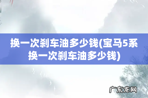 宝马5系换一次刹车油多少钱 换一次刹车油多少钱