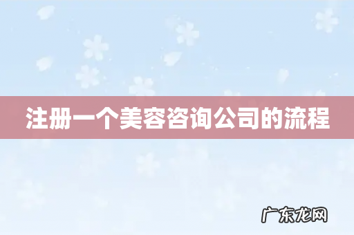 注册一个美容咨询公司的流程