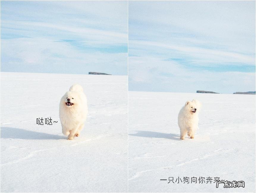 这2个视频拼贴的方法新手小白也能使用!超实用