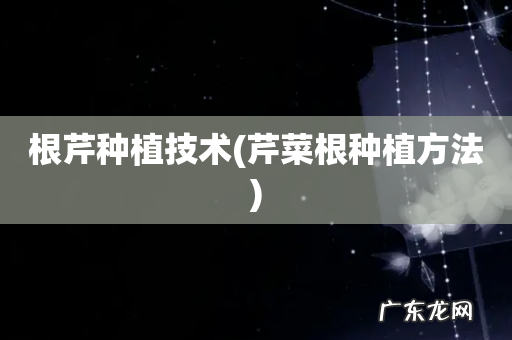 芹菜根种植方法 根芹种植技术
