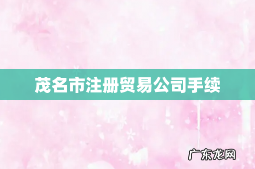 茂名市注册贸易公司手续