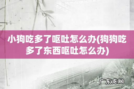 狗狗吃多了东西呕吐怎么办 小狗吃多了呕吐怎么办