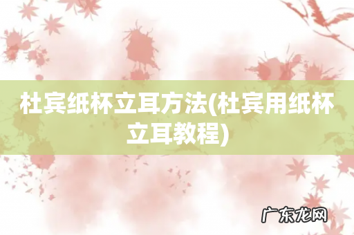 杜宾用纸杯立耳教程 杜宾纸杯立耳方法