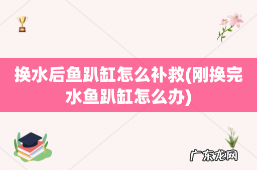 刚换完水鱼趴缸怎么办 换水后鱼趴缸怎么补救