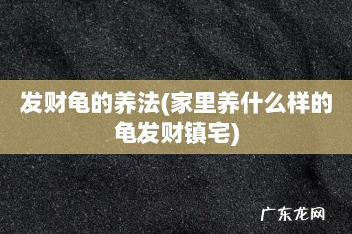 家里养什么样的龟发财镇宅 发财龟的养法