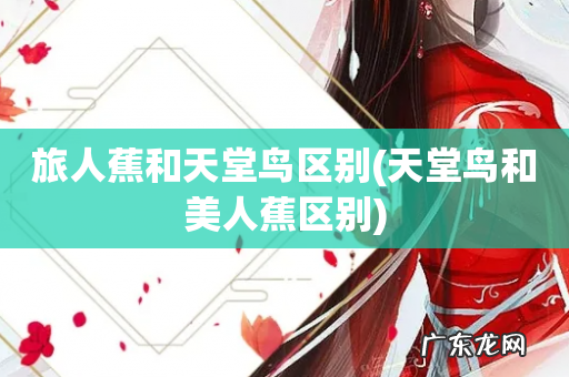 天堂鸟和美人蕉区别 旅人蕉和天堂鸟区别