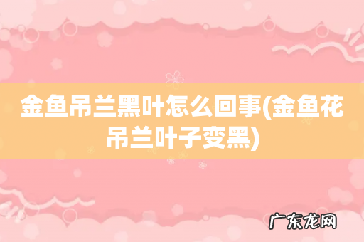 金鱼花吊兰叶子变黑 金鱼吊兰黑叶怎么回事