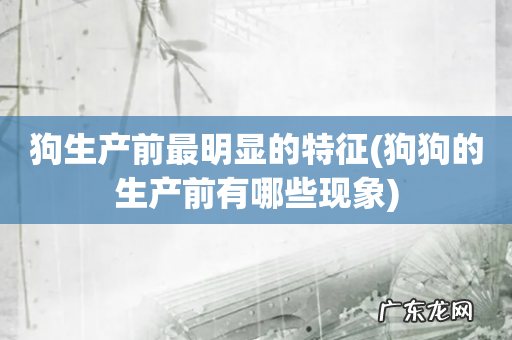 狗狗的生产前有哪些现象 狗生产前最明显的特征