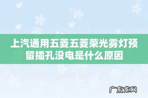 上汽通用五菱五菱荣光雾灯预留插孔没电是什么原因