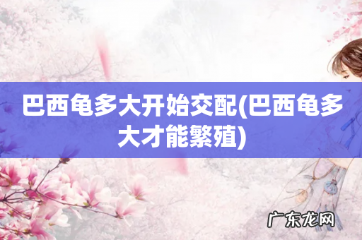 巴西龟多大才能繁殖 巴西龟多大开始交配