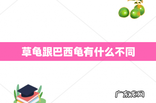 草龟跟巴西龟有什么不同