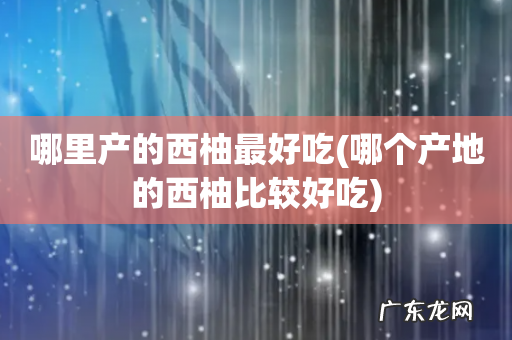 哪个产地的西柚比较好吃 哪里产的西柚最好吃
