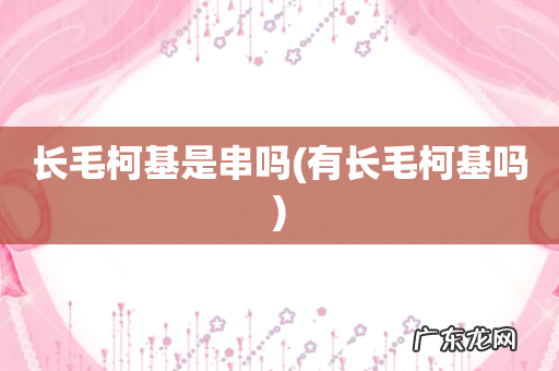 有长毛柯基吗 长毛柯基是串吗