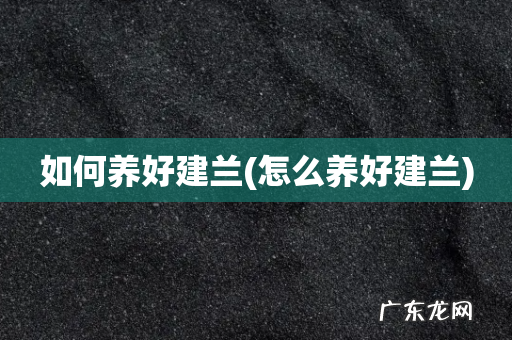 怎么养好建兰 如何养好建兰