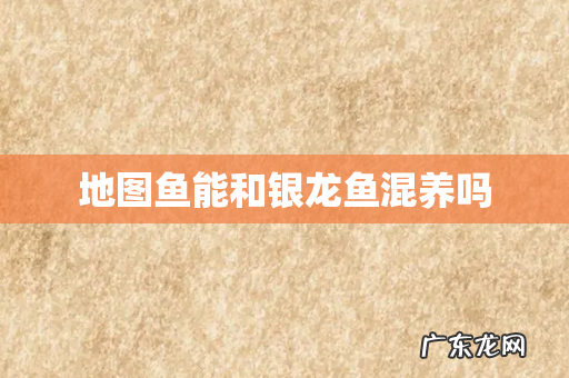 地图鱼能和银龙鱼混养吗