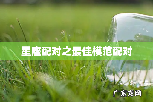 星座配对之最佳模范配对