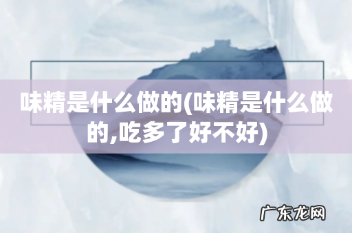 味精是什么做的,吃多了好不好 味精是什么做的