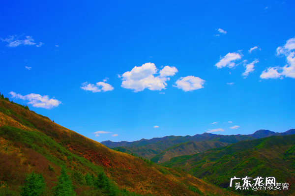 小学作文教学方法 小学作文教学研究