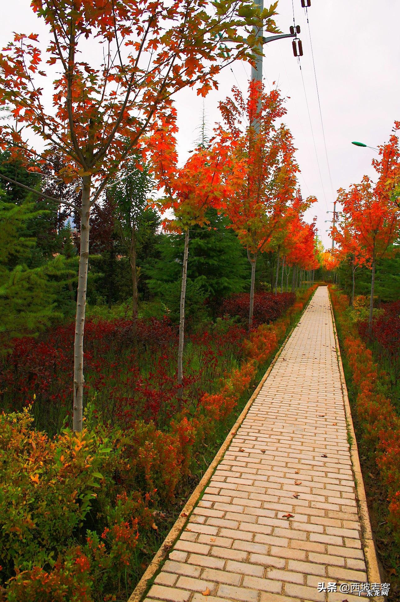 小学作文教学方法 小学作文教学研究