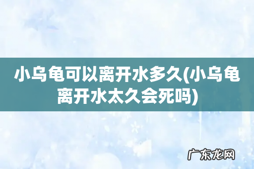小乌龟离开水太久会死吗 小乌龟可以离开水多久
