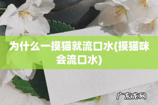 摸猫咪会流口水 为什么一摸猫就流口水