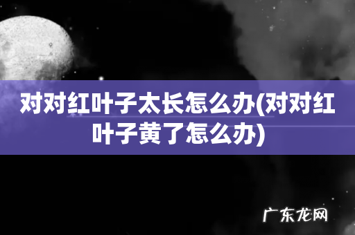 对对红叶子黄了怎么办 对对红叶子太长怎么办