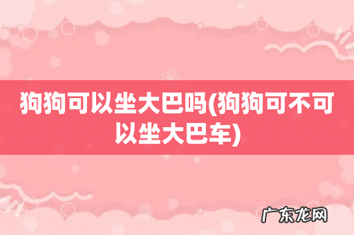狗狗可不可以坐大巴车 狗狗可以坐大巴吗