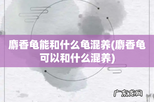 麝香龟可以和什么混养 麝香龟能和什么龟混养